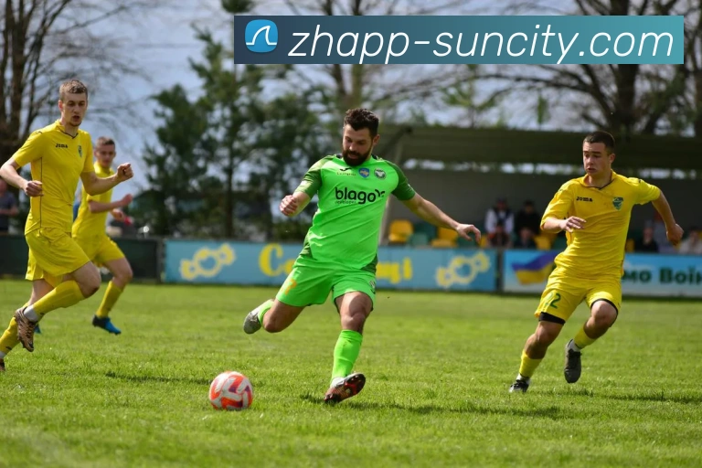 太阳城官网平台生态图